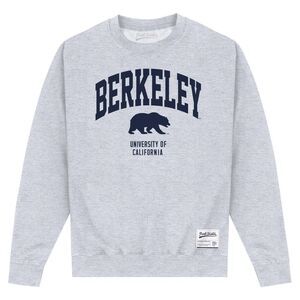 UC Berkeley Unisex Adult Bear Sweatshirt / Heather Grey